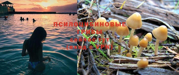 прущие крисы Каменка
