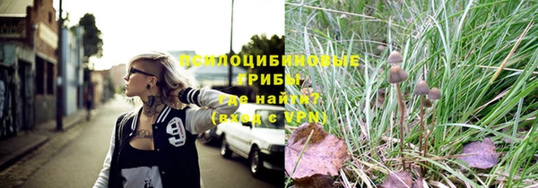 прущие крисы Каменка