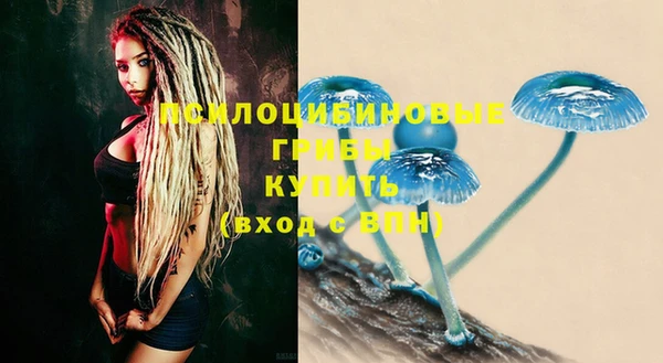 прущие крисы Каменка