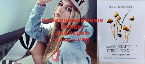 прущие крисы Каменка